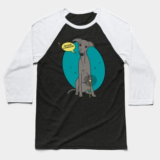 Funny greyhound design; Grey Italian greyhound with a dandelion flower Baseball T-Shirt